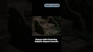 Ancient Roman Toilet with Dolphin Arm Rests | Timgad, Algeria shorts didyouknow travel8nature