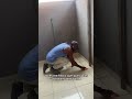 Já me segue pra não perde a próxima parte transformação do quarto