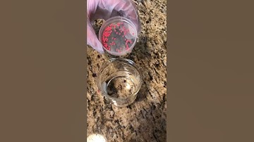 Microplastic Extraction