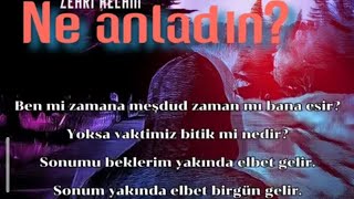 Zehri Kelam - Ne Anladın? Resimi