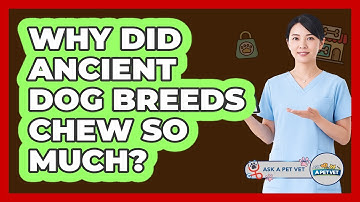 Why Did Ancient Dog Breeds Chew So Much? - Ask A Pet Vet