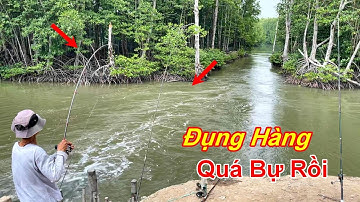 Câu Cá Chẽm , Không ngờ điểm câu mới lại gặp phải HÀNG KHỦNG như này @HuyFishingVlog