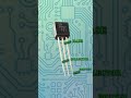 THE BASE CONTROLS THE WHOLE TRANSISTOR #experiment #science