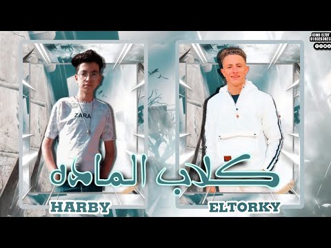 كلاب الماده  عمر التركي  حربي 2023  