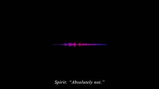 "Absolutely Not" EVP - The Haunted Shanley Hotel