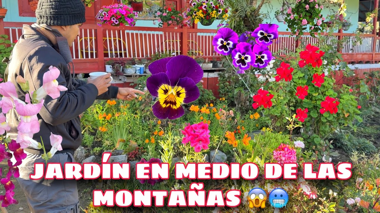 ¡EL JARDIN SECRETO a 3000 metros! Flores que no creerás (Colombia)