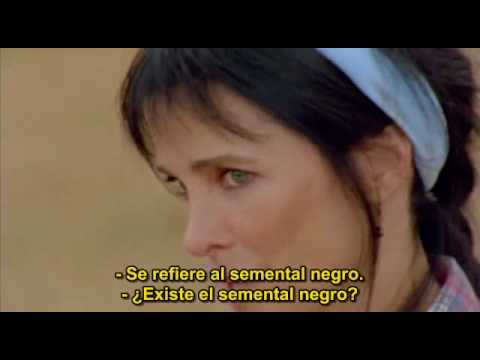 miranda cosgrove and danielle chuchran in the wild stallion.flv