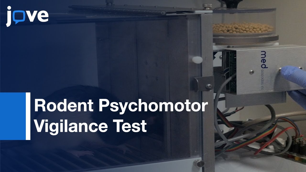 rPVT: A Method For Assessing Neurobehavioral Performance In Rats & Mice l Protocol Preview