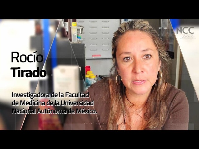 Reporte Climático 264 | Virus en Movimiento: El Impacto Climático en las Pandemias