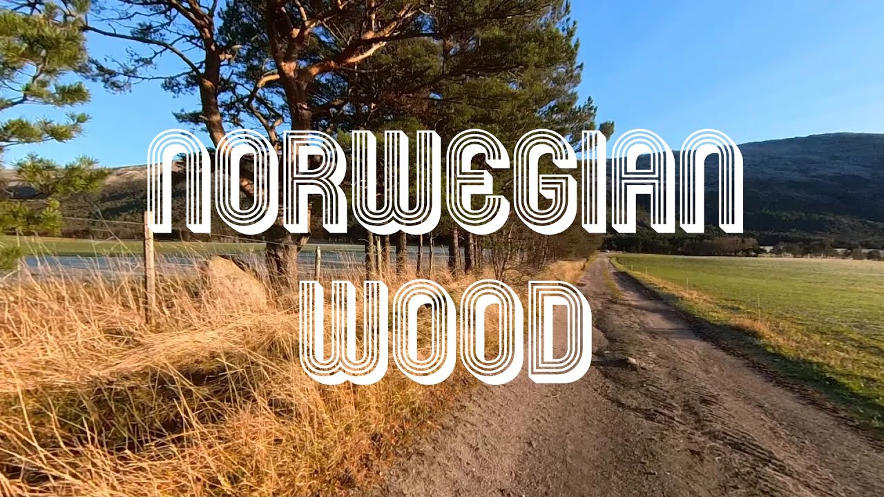 Norwegian Wood (This Bird Has Flown) - The Beatles - Reprise