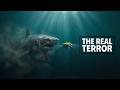 The Terrifying Truth About the Real Megalodon 🦈👀 #Megalodon #AncientEarth