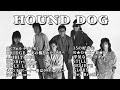 HOUND DOG SUPER BEST