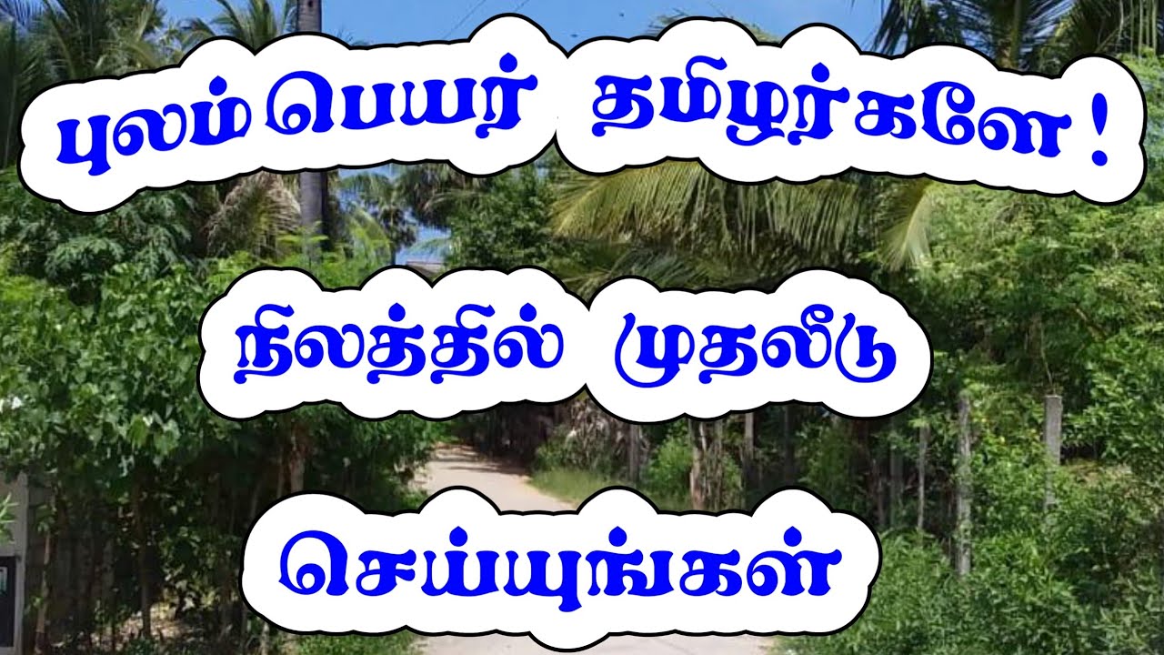 யாழ்ப்பாணத்தில் பெறுமதியான காணி விற்பனைக்கு