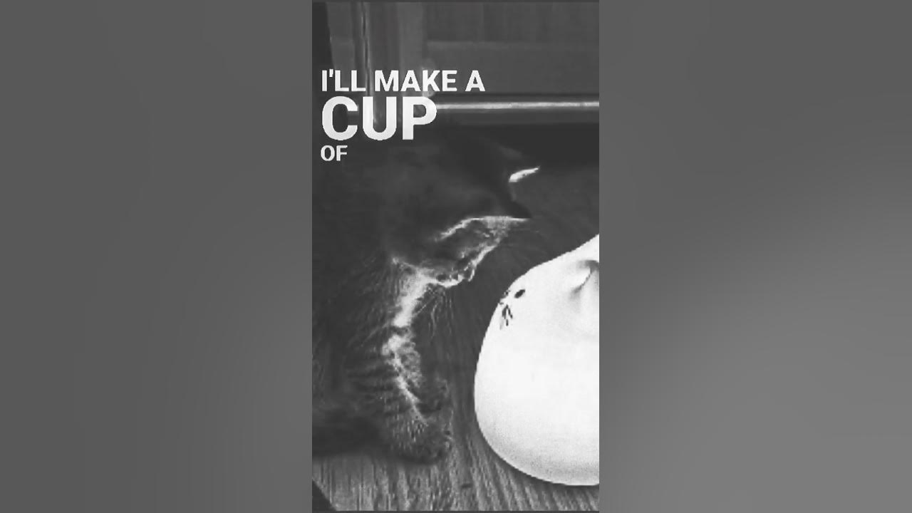 Coffee for your head ) YouTube