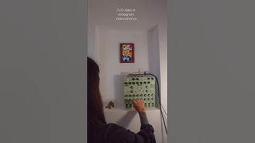 Lyra 8 - full video in instagram [ marcoshorus ]