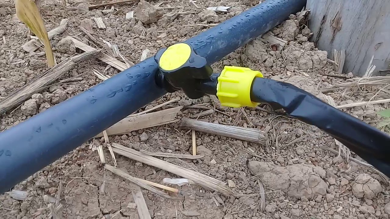 💹📊Como instalar mangueira de gotejos💧 ( irrigação )🌧⚪