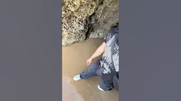 He Had No Options Left 