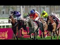 RM 51  Al Rayyan Race 1 -  H.H. The Amir Sword Festival - Day 4