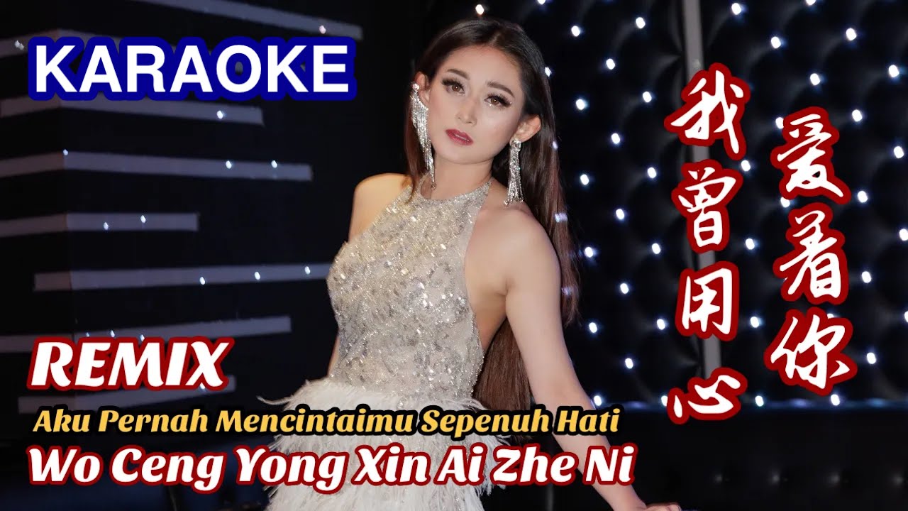 KARAOKE - Wo Ceng Yong Xin Ai Zhe Ni 我曾用心爱着你 REMIX !! Helen Huang LIVE