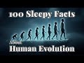 The Most Relaxing Facts About Evolution and Life to Fall Asleep To