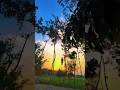 village view , lichchi manjar #viralshort #nature #trending #viralsong