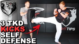 3 Taekwondo Kicks for Self Defense: Ginger Ninja Trickster screenshot 2