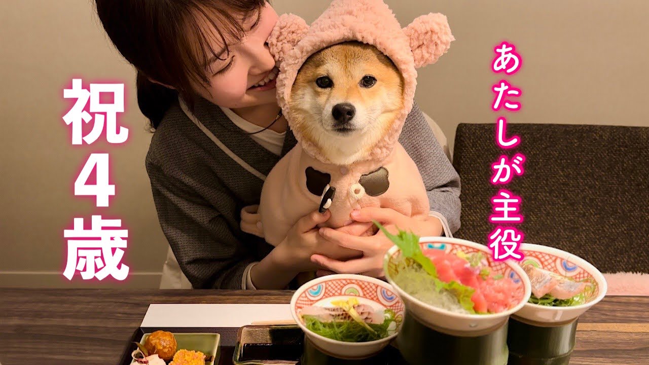 We had a grand celebration for the birthday of our adorable dog