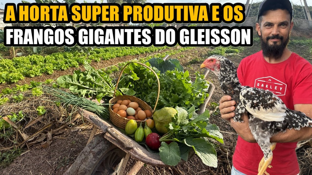 MUITA FARTURA EM APENAS 200 m² NO 