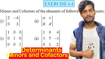 Determinants Exercise 4.4, NCERT Solution | Class 12 Algebra | Minors and Cofactors | Praveen Kumar