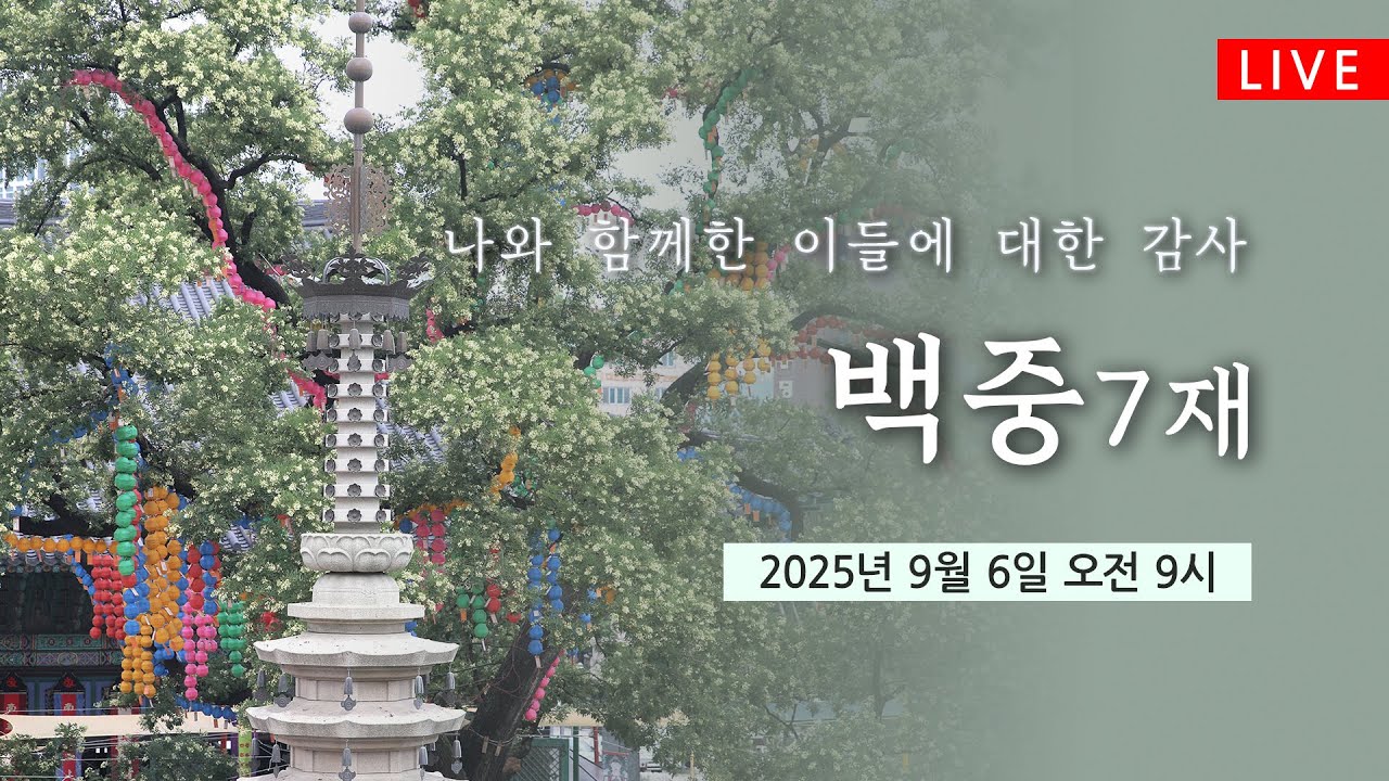 조계사 백중7재(9/6 9시) #인연의기도 #백중기도 #2025년 #생중계