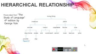 Lecture 6  What is Hyponymy.What is super ordinate and co-hyponyms