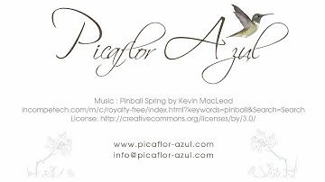 Easy Help Zen Cart Tutorial: How to Change the Name of the Categories (or any) Sidebox Heading