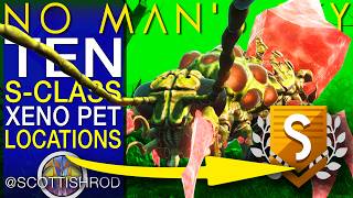 TEN TREMENDOUS S-CLASS XENO PETS - The Arena League - No Man's Sky Update - NMS Scottish Rod