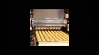 Cookies Depositor With Wire Cut machine