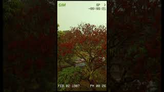 Download Lagu Juicy Luicy - Tampar #covermusic MP3