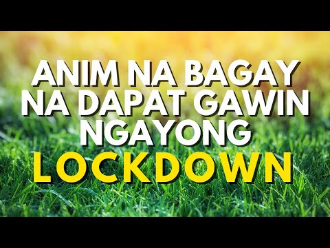 Video: Anim Na Bagay Na Dapat Gawin Sa Zodchestvo