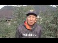 【ながの旬チャンネル】ユーカリ栽培　半田貞雄さん - 長野市農業公社