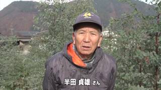 【ながの旬チャンネル】ユーカリ栽培　半田貞雄さん - 長野市農業公社