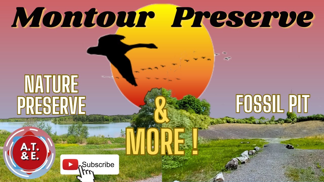 Montour Preserve A Comprehensive Guide to Outdoor Adventures in Central Pennsylvania YouTube