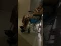 وعكة صحية خطيرةتصيب الانستغراموز هيفاء المكي على اثر ما تداول عنها في منصات التواصل الاجتماعي وعكة صحية خطيرةتصيب الانستغراموز هيفاء المكي على اثر ما تداول عنها في منصات التواصل الاجتماعي