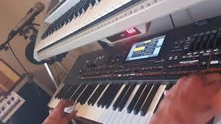 Reggada zamer korg4x 2020