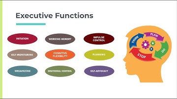 Executive Function Skills - Initiation