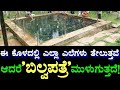 Guli Guli Shankara | ಗುಳಿ ಗುಳಿ ಶಂಕರ | Hosanagara | Shimoga | ಹೊಸನಗರ | ಶಿವಮೊಗ್ಗ | Gubbiga