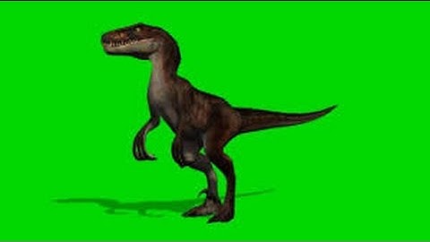 4k 360 tutorial ar video for viewing in Virtual Reality by This Is Me In VR