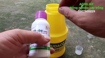 Thuốc trị rệp sáp, rệp vảy, rệp bông, rệp dính, rệp kim.. thế hệ mới hiệu quả cực cao