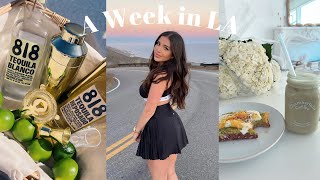 A Week in my Life in Los Angeles ♡ Cook with me, Grocery Haul, My Workout Routine