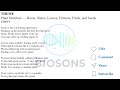 Plant Structure: Roots, Stems, Leaves, Flowers, Fruits and Seeds