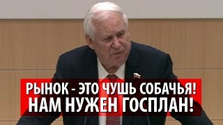 Сенатор заявил о необходимости Госплана. 