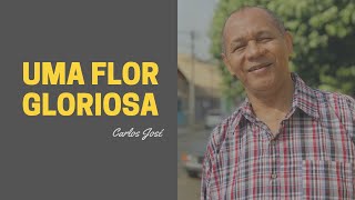 UMA FLOR GLORIOSA - 196 | CARLOS JOSÉ E A HARPA CRISTÃ chords