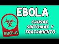 ENFERMEDAD POR EL VIRUS DEL ÉBOLA,  Causas, síntomas, diagnóstico y tratamiento